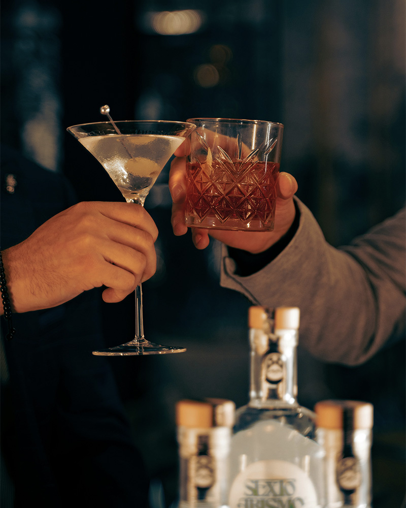 tow people toasting cocktails