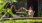 two woman toast drinks at outdoor restaurant table