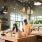 customers in a shop with potted plants