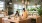 customers in a shop with potted plants