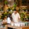plant shop with shelves and tables filled with potted plants